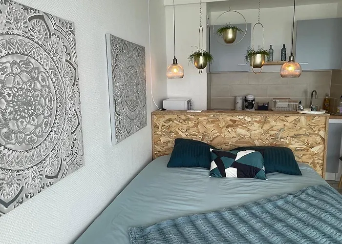 公寓 Face Vue D'exception Renove Au 9eme Etage 莱萨布勒-多洛讷